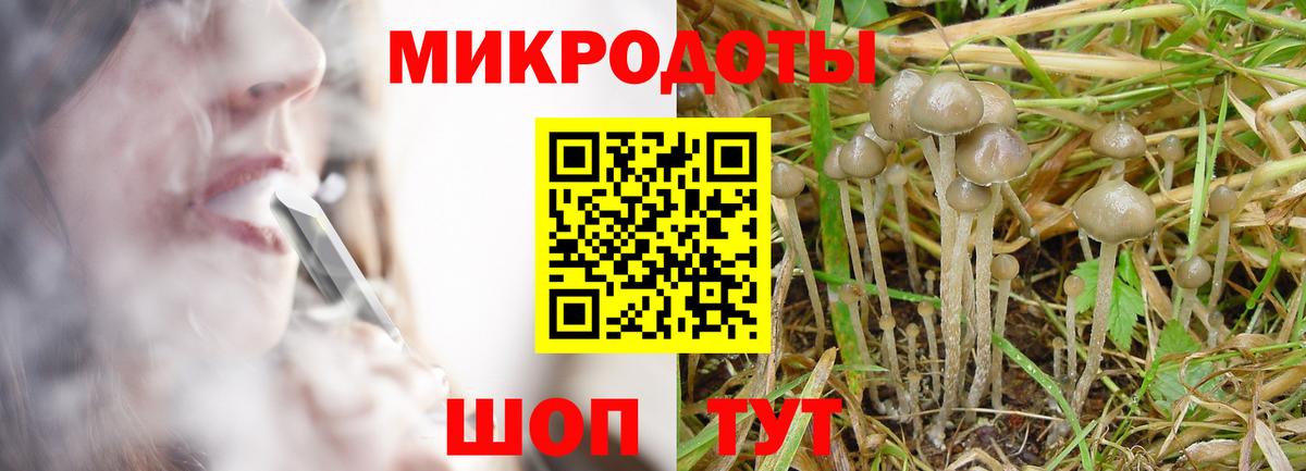 Псилоцибиновые грибы мухоморы  Вход с VPN  Горно-Алтайск 
